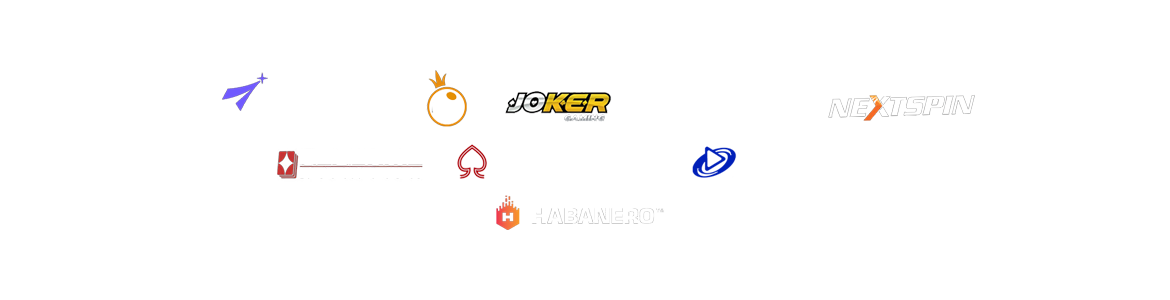 Our Partner
